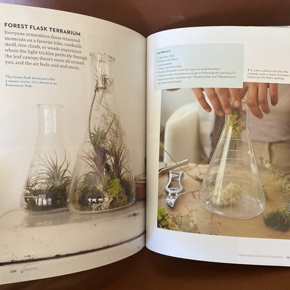 Book on Air Plants Tillandsias - Picture 6 of 6